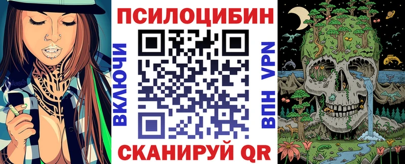 blacksprut маркетплейс  дарнет шоп  Байкальск  Галлюциногенные грибы Psilocybine cubensis 